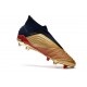 Botas de fútbol adidas Predator 19+ Fg - Oro Plata Rojo