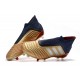 Botas de fútbol adidas Predator 19+ Fg - Oro Plata Rojo