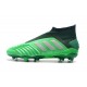 Botas de fútbol adidas Predator 19+ Fg - Verde Plata