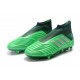 Botas de fútbol adidas Predator 19+ Fg - Verde Plata