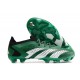 Bota adidas Predator Accuracy.1 Low FG Verde Blanco