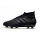 Zapatillas de Fútbol adidas Predator 19.1 FG Negro